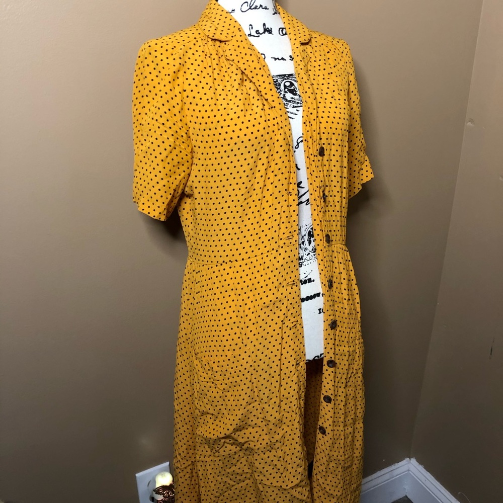 Polka Dot Button Down Dress
